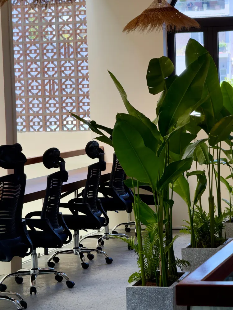 Espace de travail Amaya — chaises ergonomiques, plantes, claustra vietnamien